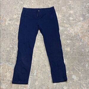 Izod Dark Blue Trousers